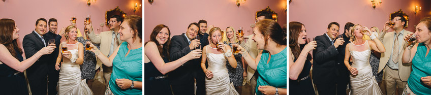 St Audries Park Wedding Party