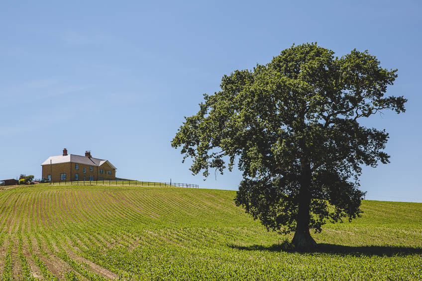 Somerset Wedding Photography