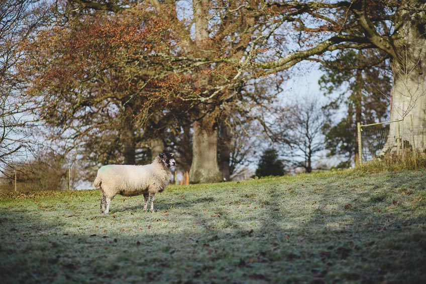 Pennard House Winter Wedding