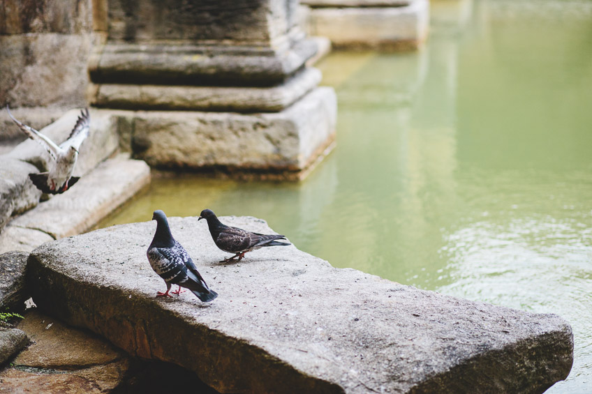 Roman Baths Wedding